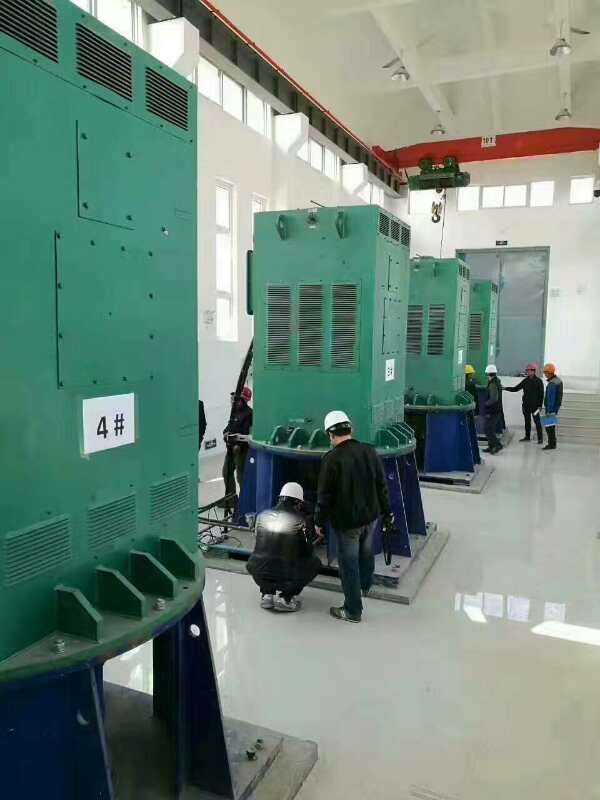 YKK5604-12某污水处理厂使用我厂的立式高压电机安装现场