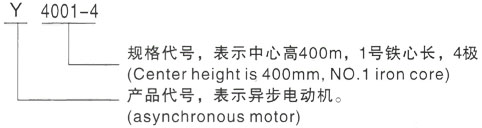 西安泰富西玛Y系列(H355-1000)高压YKK5604-12三相异步电机型号说明